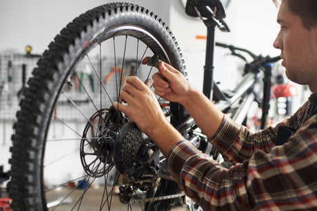 Basic Bicycle Maintenance