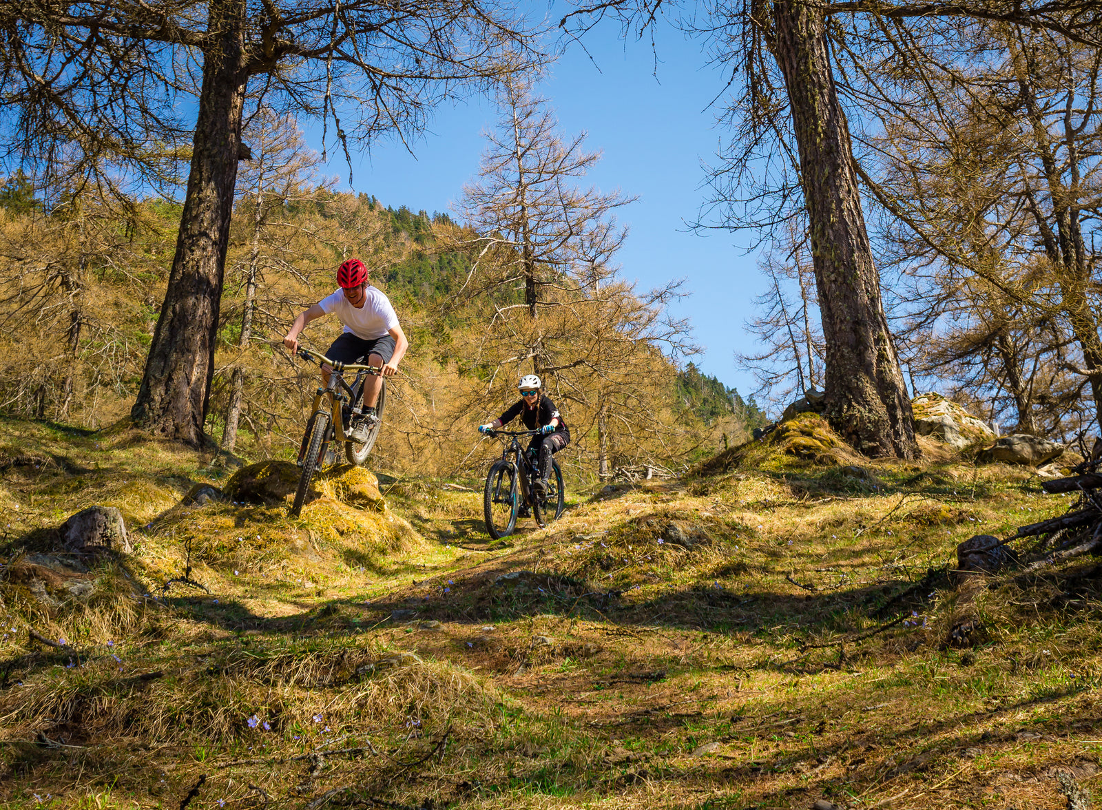 New to Mountain Biking? Avoid these mistakes