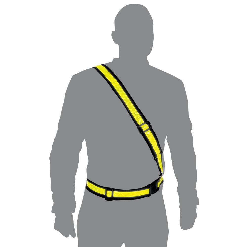 Oxford Bright Belt