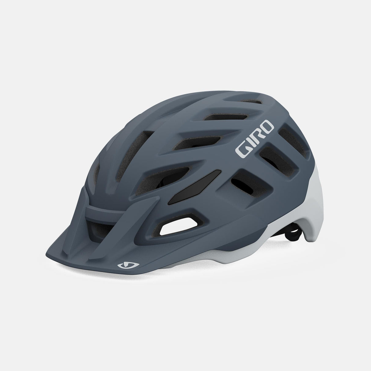 Giro Radix Dirt Helmet 2021: Portaro Grey L 59-63Cm