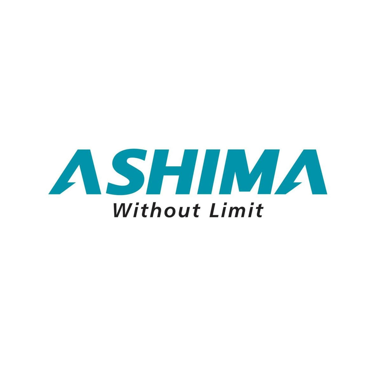 Ashima Point Of Sale Slatwall Hook: