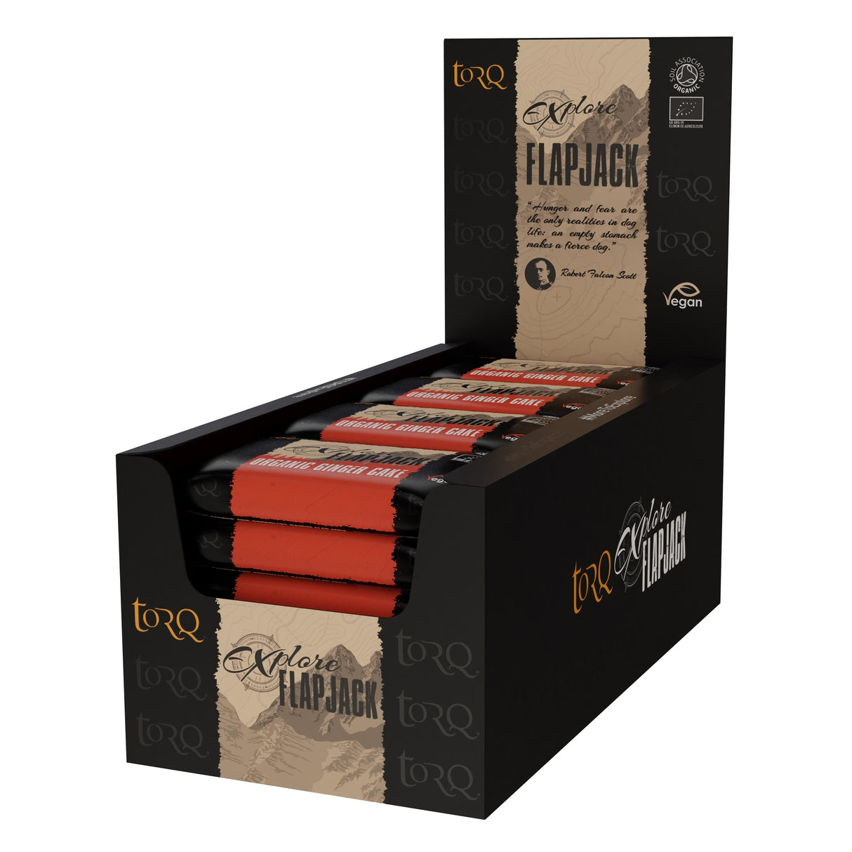 Torq Explore Flapjack (20 X 65G): Ginger Cake