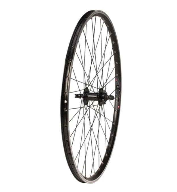 Tru-build wheels 700C Front Disc Wheel, 6 Bolt Disc Hub, Mach1 240 Double Wall