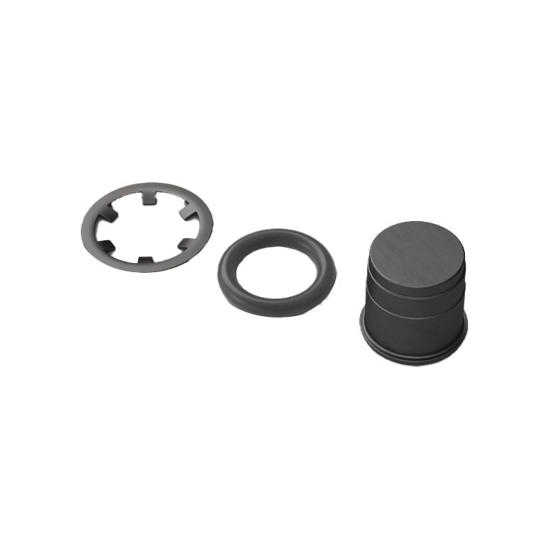 SwissStop E-Bike Magnet for CentreLock Catalyst Rotor - Black