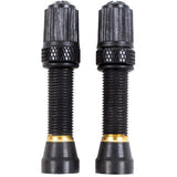 Nutrak Schrader Tubeless Valve; Threaded Bronze