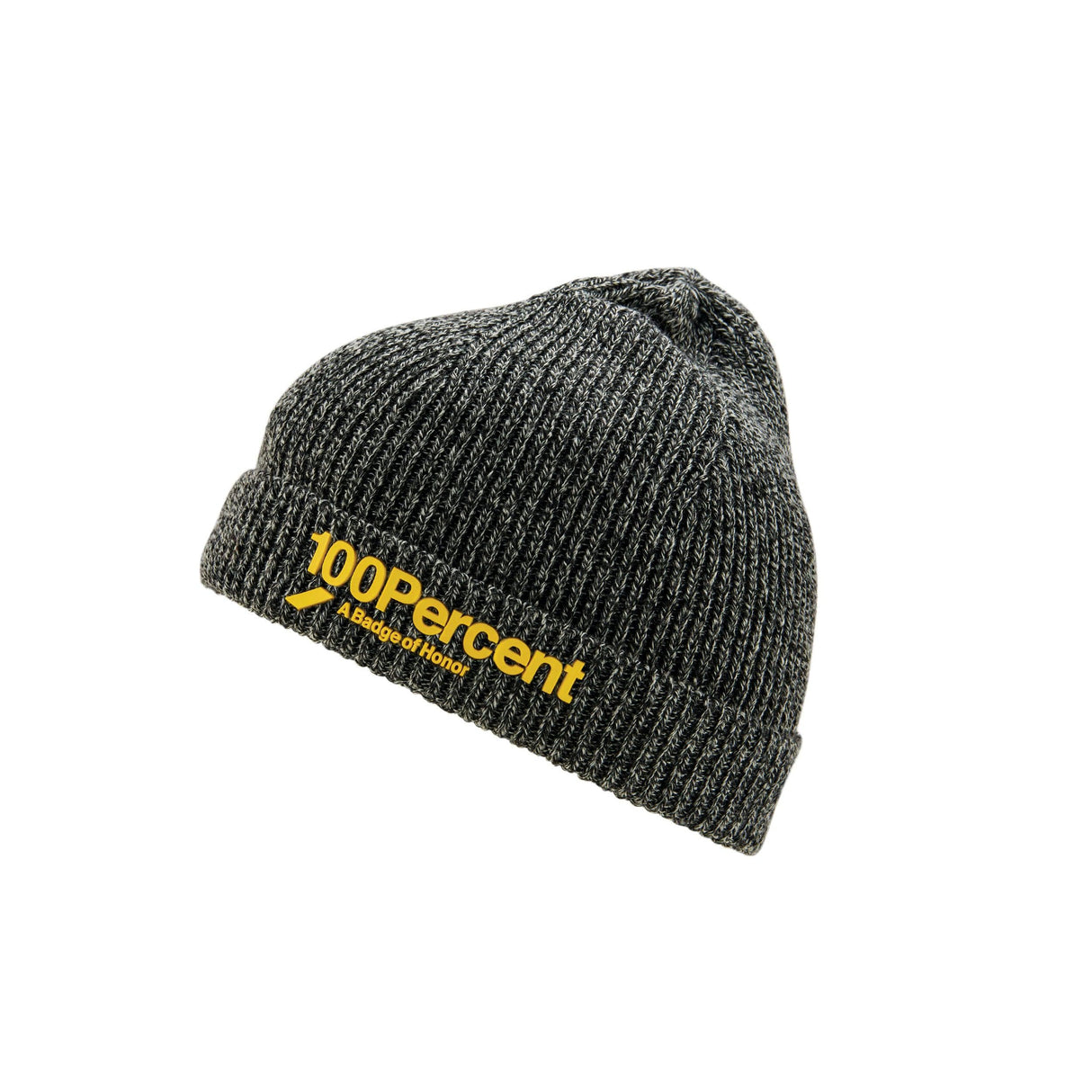 100% Echo Beanie 2022 Grey