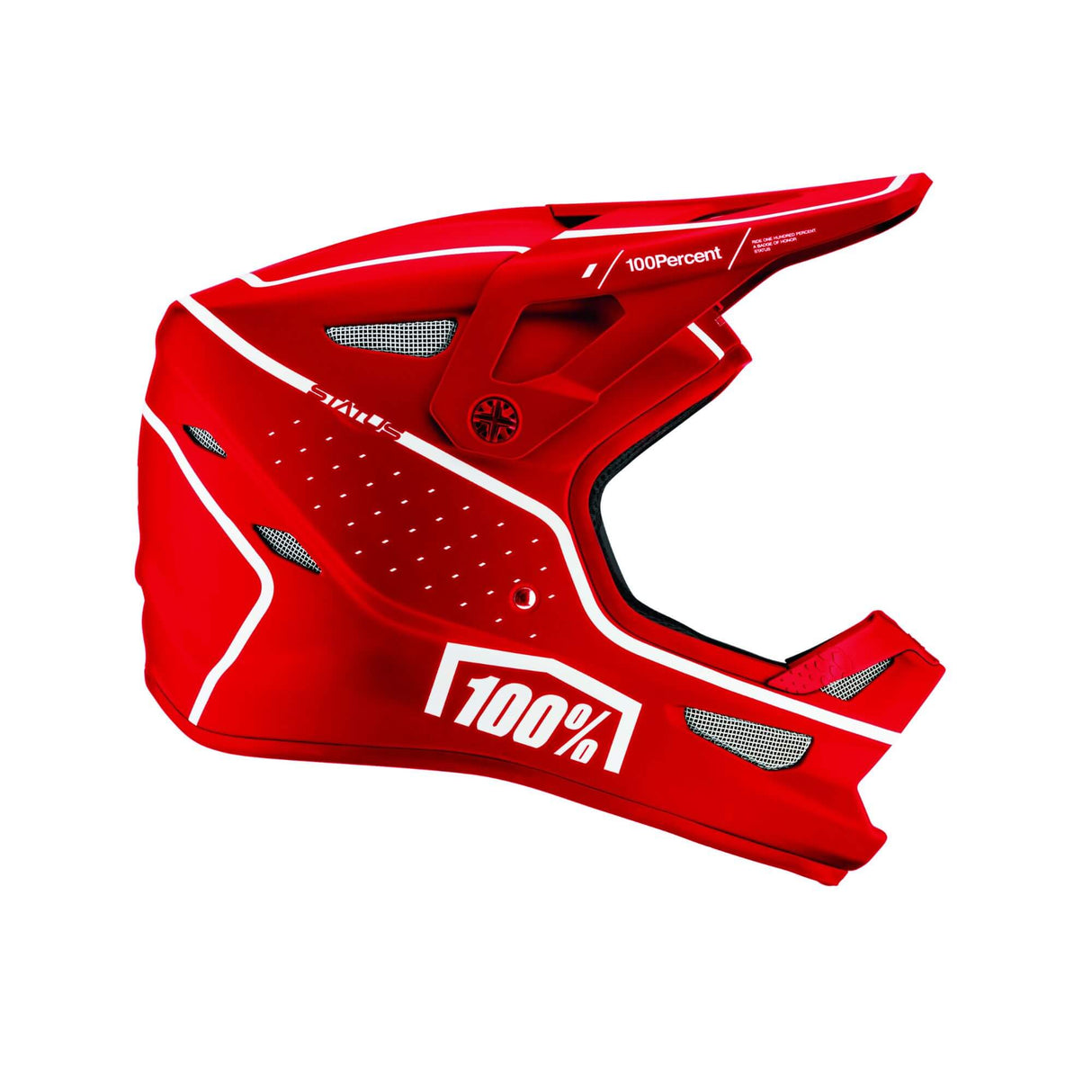 100% Status Helmet Dreamflow Red M