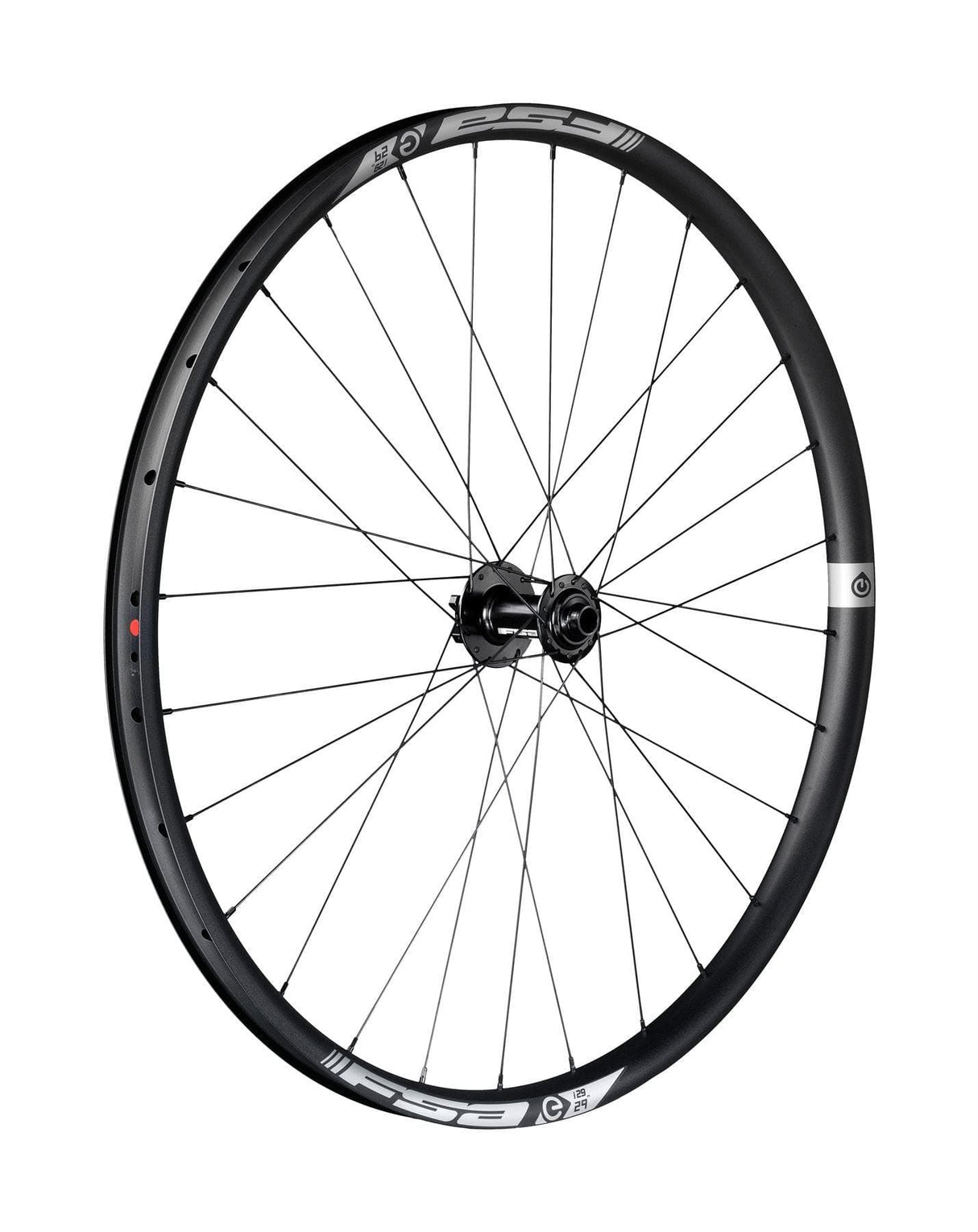 FSA E-MTB i30 Alloy Front Wheel (29", Boost)