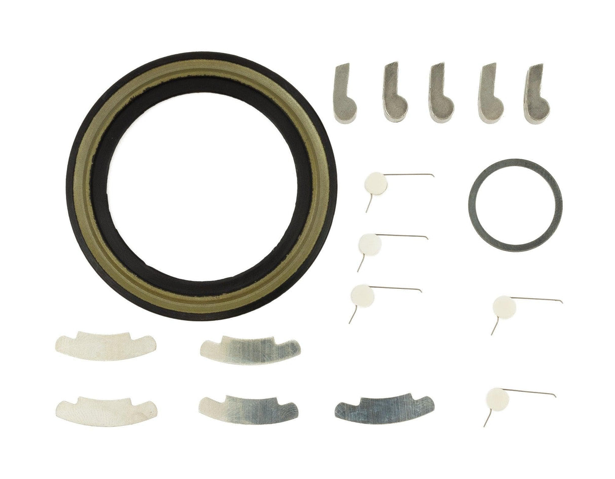 A2Z Replacement Pawls for 2010 A2Z Hub-tf