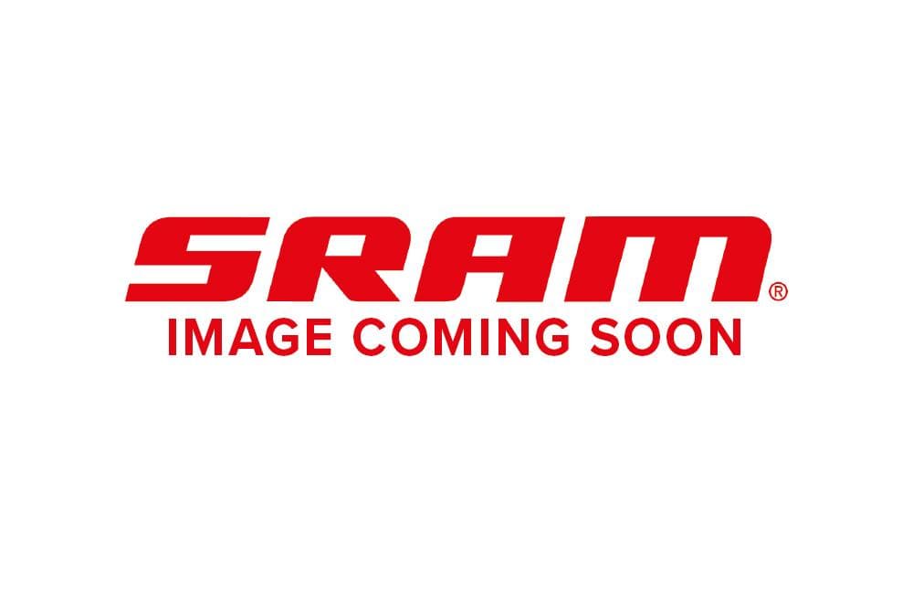 Sram Replacement Spokes 3PCS Roam40 29